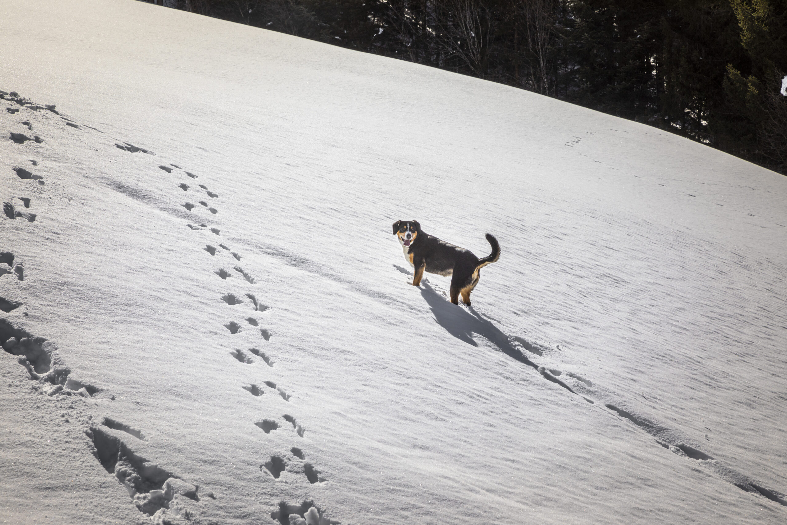 20210325 KropflehenAussenWinter 018 scaled